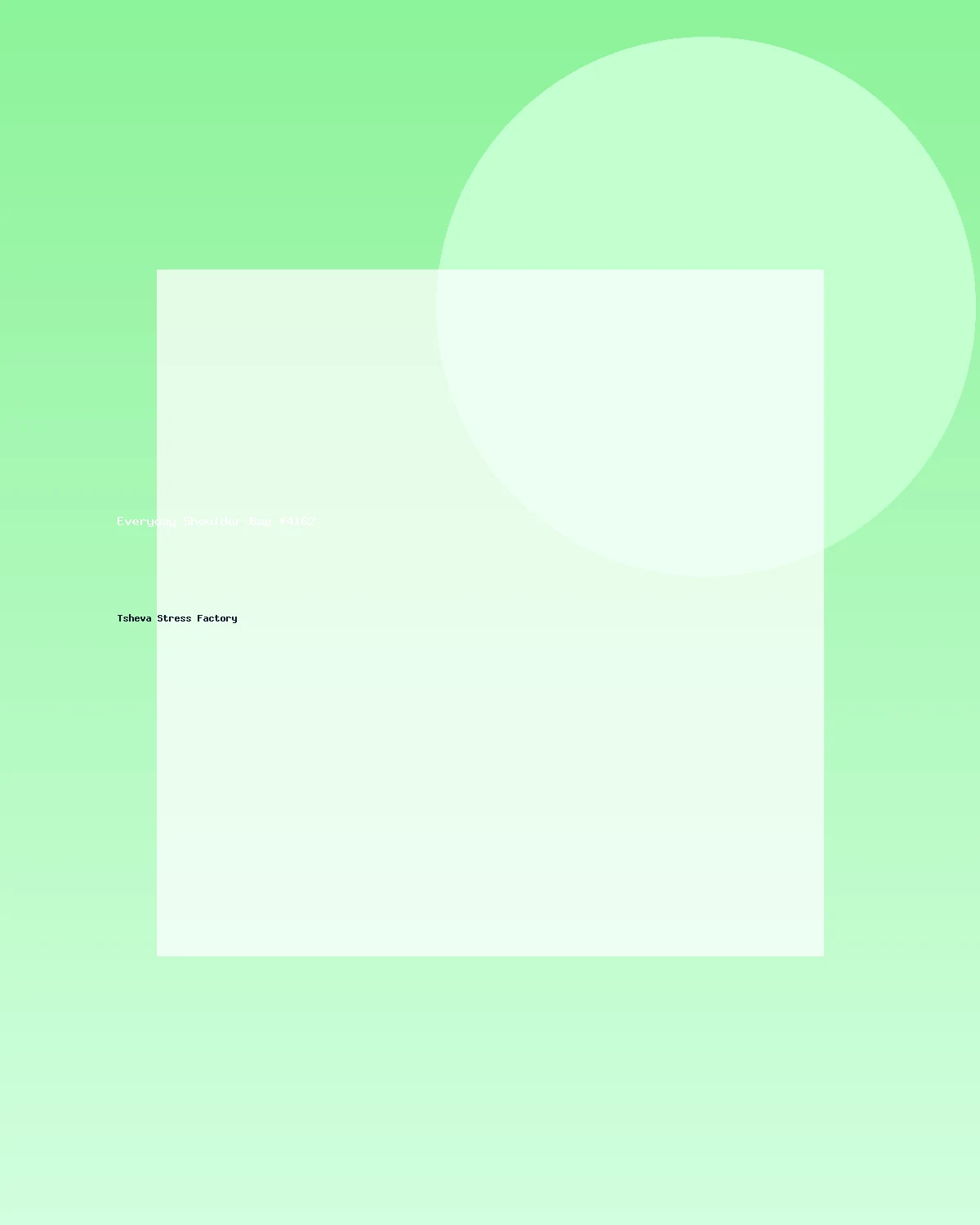 حقيبة كتف عملية #4162