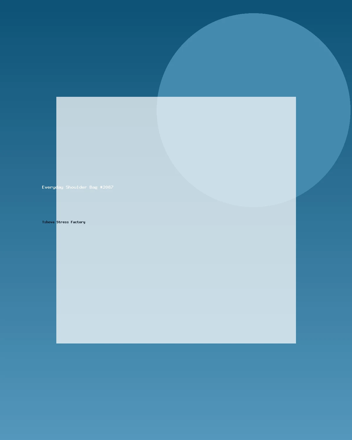 حقيبة كتف عملية #2087