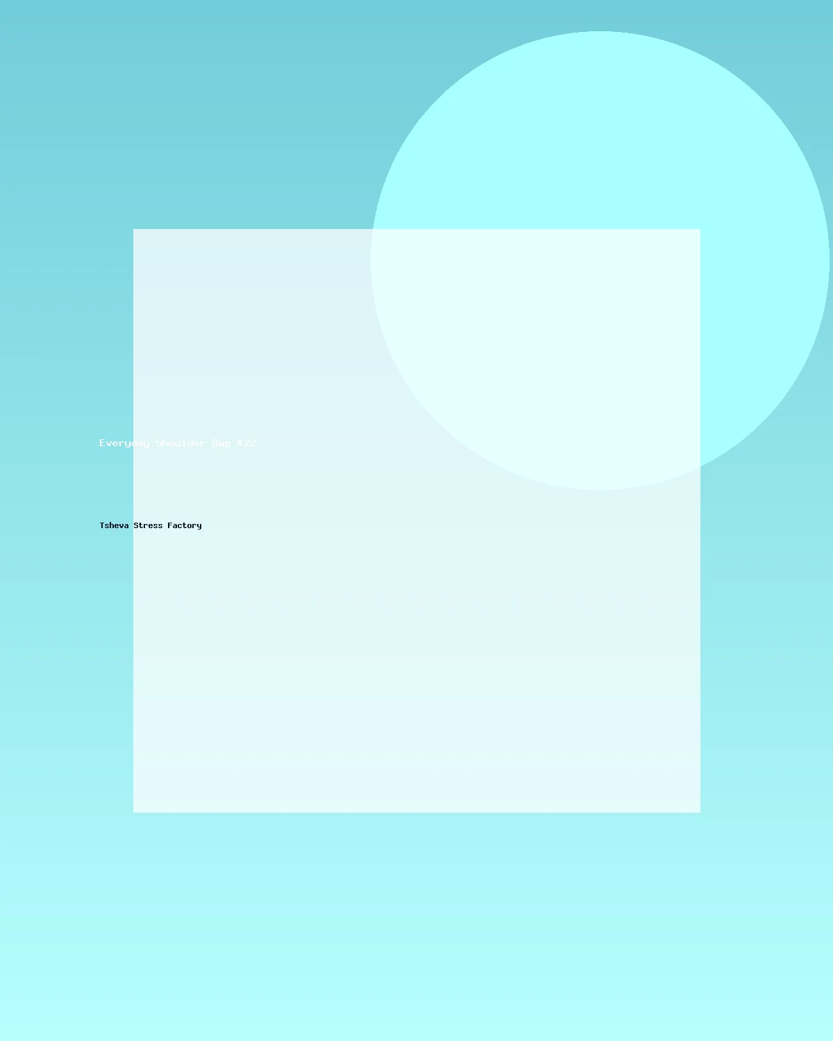 حقيبة كتف عملية #22