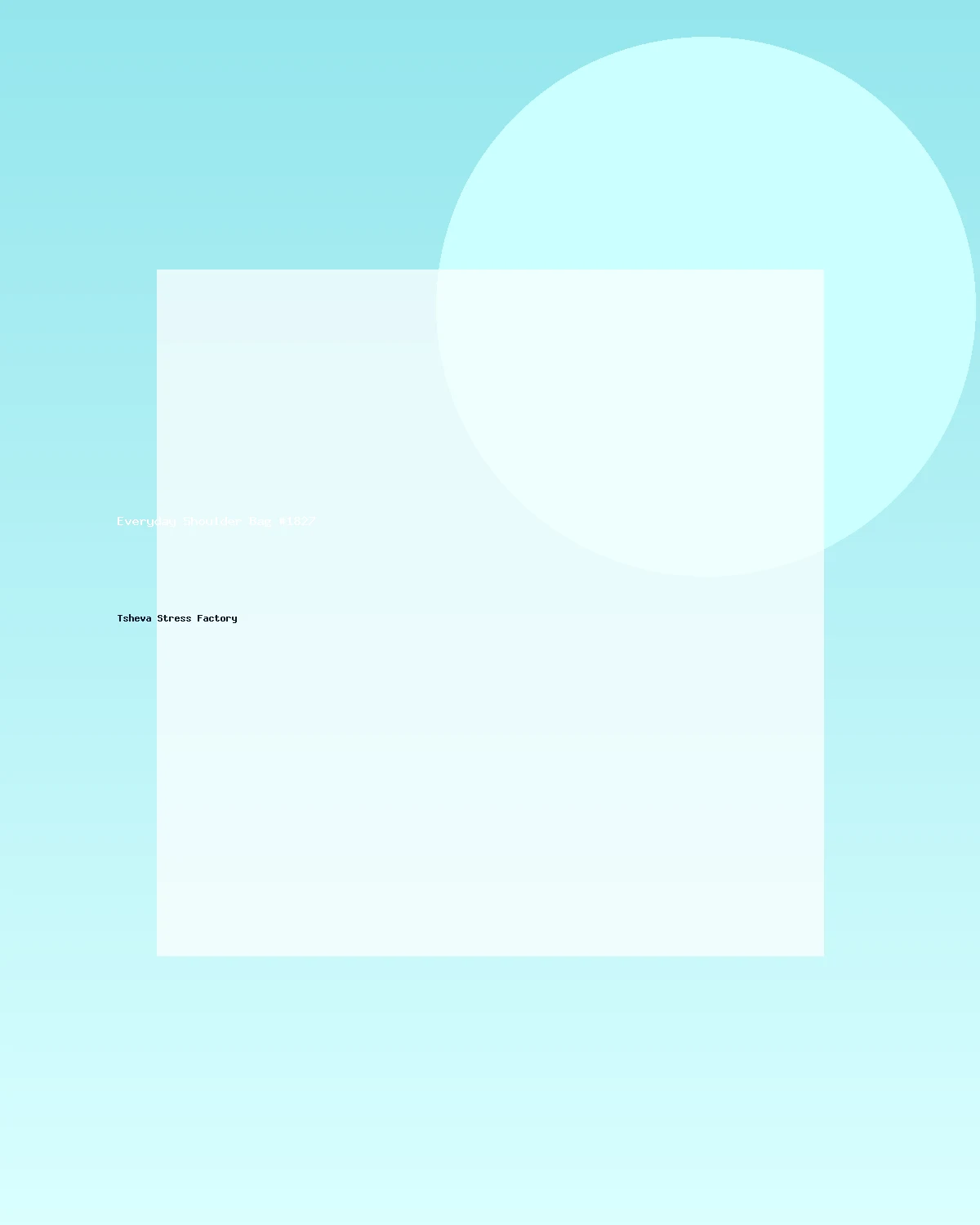 حقيبة كتف عملية #1827